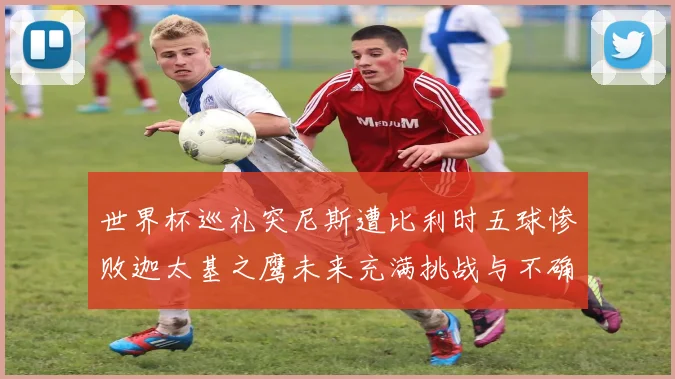 世界杯巡礼突尼斯遭比利时五球惨败迦太基之鹰未来充满挑战与不确定性